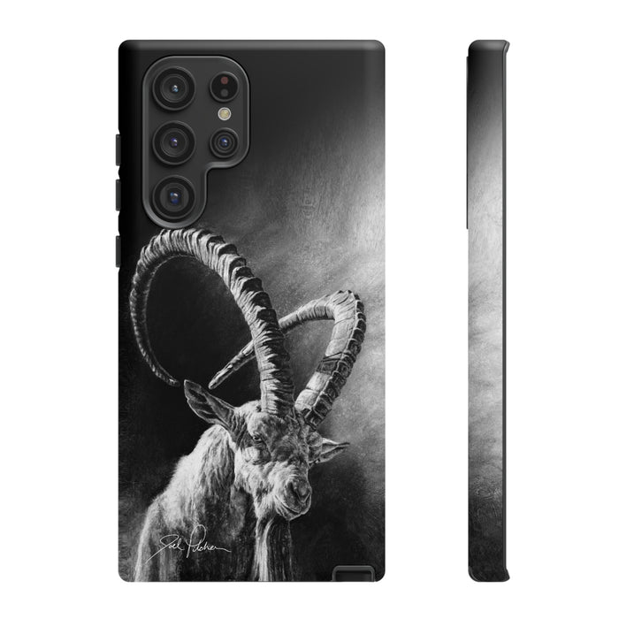 Samsung Galaxy S22 Ultra / Matte
