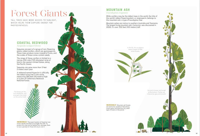 Incredible: Stars of the Plant World