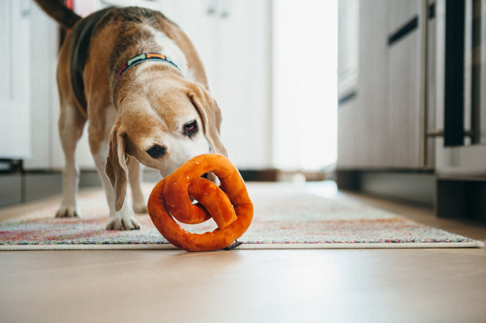 P.L.A.Y. International Classic Poochie Pretzel Toy - beagle playing with toy on rug in kitchen