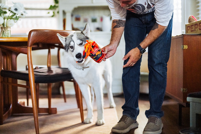 Man holding P.L.A.Y.'s International Classic Slurp It Up Toy for a dog in a home setting