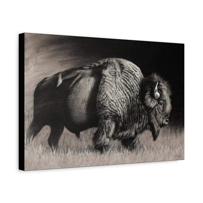 "Into the Storm" Stretched Canvas