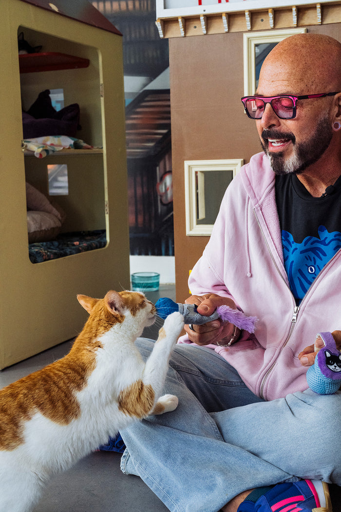 Jackson Galaxy sitting cross-legged on a carpeted floor, interacting with an orange and white cat. He is holding the microphone toy from the Jackson Galaxy x Feline Frenzy Mic Drop Duo while the cat reaches up to grab it.