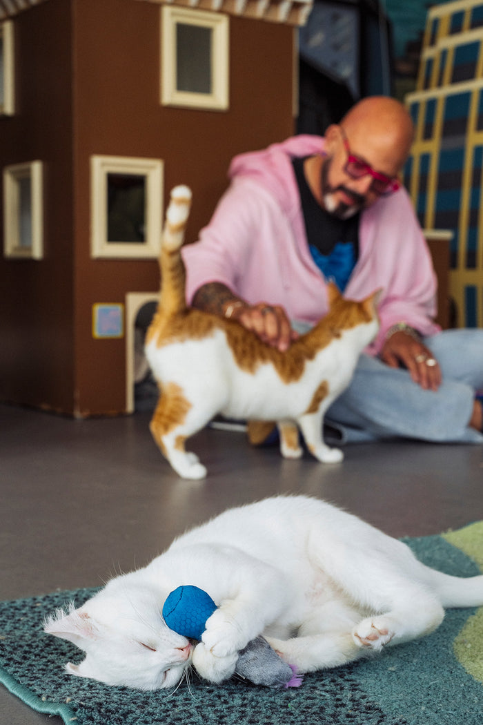 Jackson Galaxy sitting on the floor, petting a white and orange cat standing near a brown cardboard house, while another white cat lies on a teal rug in the foreground playing with the microphone toy from the Jackson Galaxy x Feline Frenzy Mic Drop Duo.