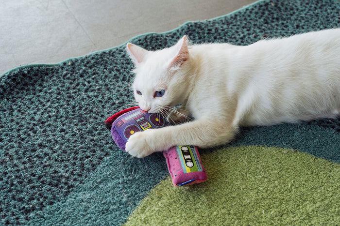 A white cat lies on a textured green and blue rug, biting and playing the boombox from the Jackson Galaxy x Feline Frenzy Playback Duo with a small cassette-tape-shaped toy in pink under it's paw.