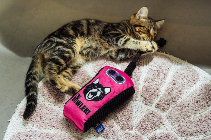 Cat laying on rug playing with rope on the Jackson Galaxy x Feline Frenzy The Stomp Box Kicker toy