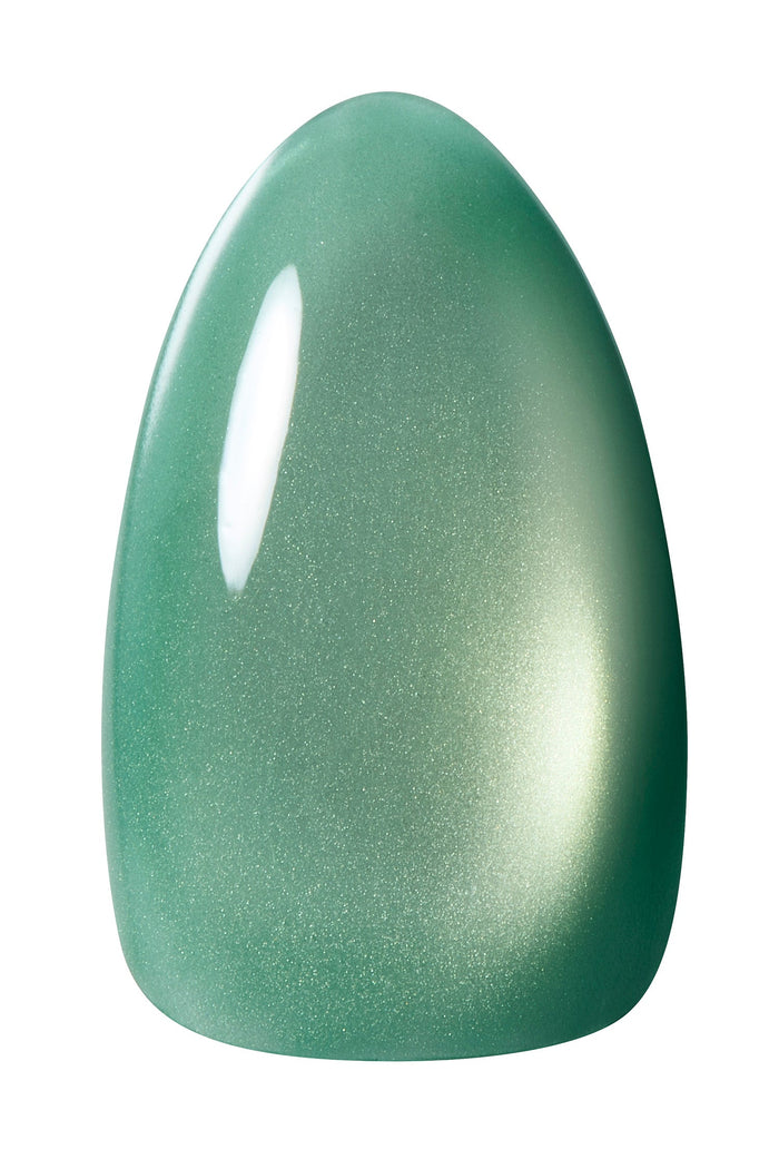 Kokoist Magnetic Gel | Terra Magnet TM-54 Aqua Glow