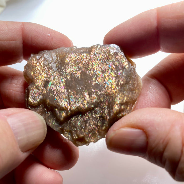 Lattice Sunstone