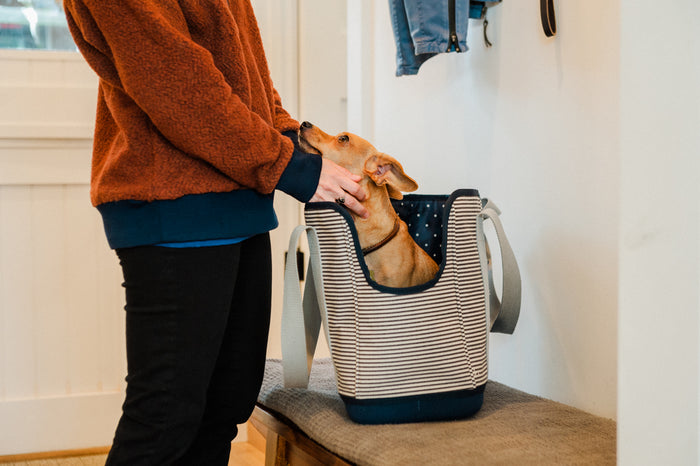 LeftPine x P.L.A.Y. Navy Striped Dog Carrier with dog in carrier on bench looking up at human