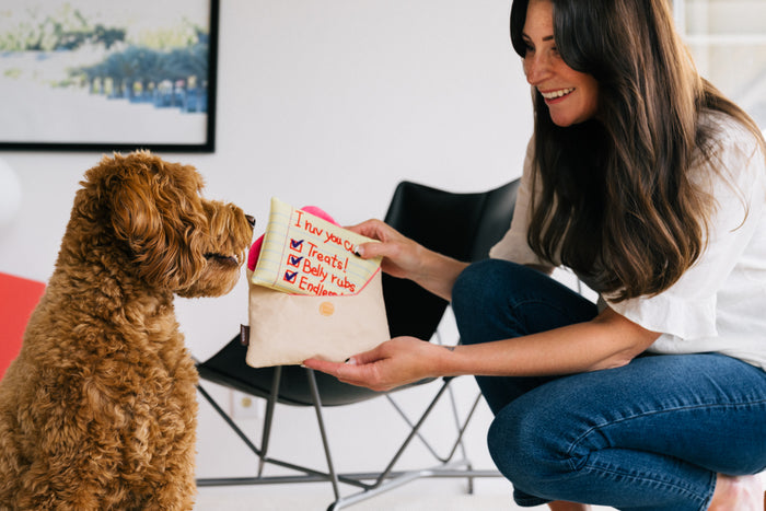 P.L.A.Y. Love Bug Collection - Ruv Letter Toy being handed to doodle pup by dog mom