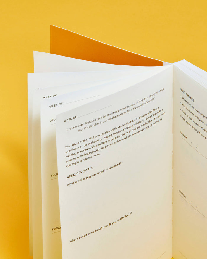 Love Your Mind Journal [Headspace Collaboration]