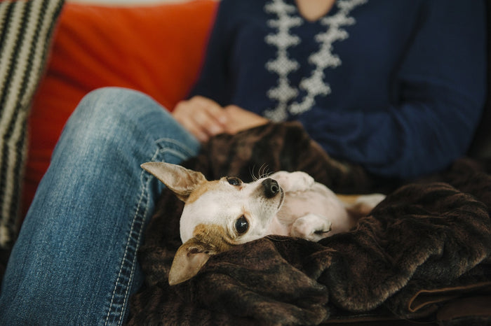 Gallery: Luxe Throw PY9008BMF