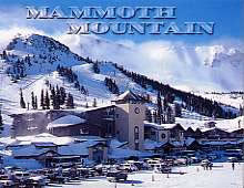 Mammoth Mountain Winter Magnet