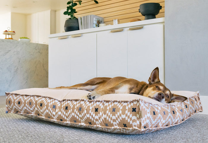 Dog sleeping on Marina Boxy Bed in Sand solid side showing