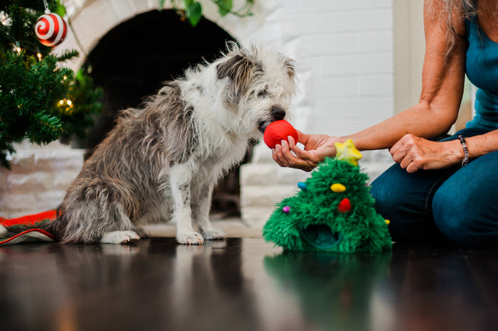 P.L.A.Y. Merry Woofmas Doglas Fur - shaggy dog biting red ornament from human's hand