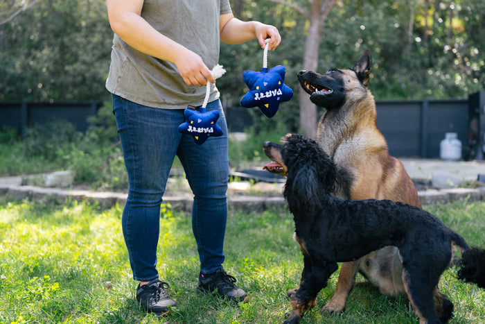 Party Time Collection by P.L.A.Y. - small and large dogs with two sizes of balloon toys