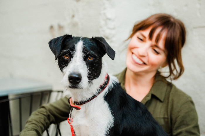 Napoli Collars by P.L.A.Y. - Black and red colorway on dog sitting on bench with human smiling at him