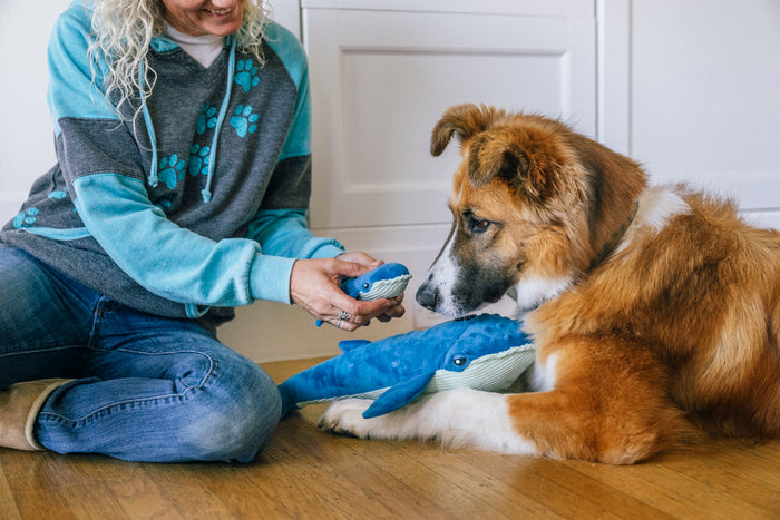 Dog mom sitting on hardwood floor with a dog, both interacting with Play's Ocean Buddies Big Blue and Baby Blue plush toy