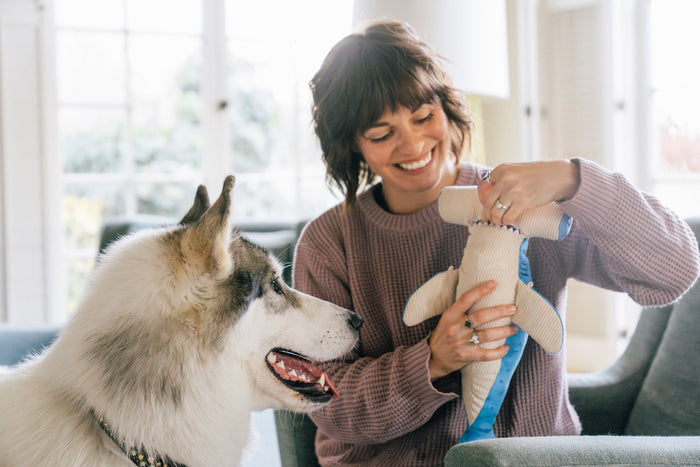Dog mom inserting treats into  Play’s Ocean Buddies Bonk the Hammerhead's mouth with big white fluffy dog watching on in a living room.