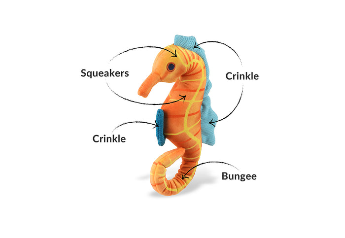 Play's Ocean Buddies Seahorse-shaped toy with labeled features on a white background
