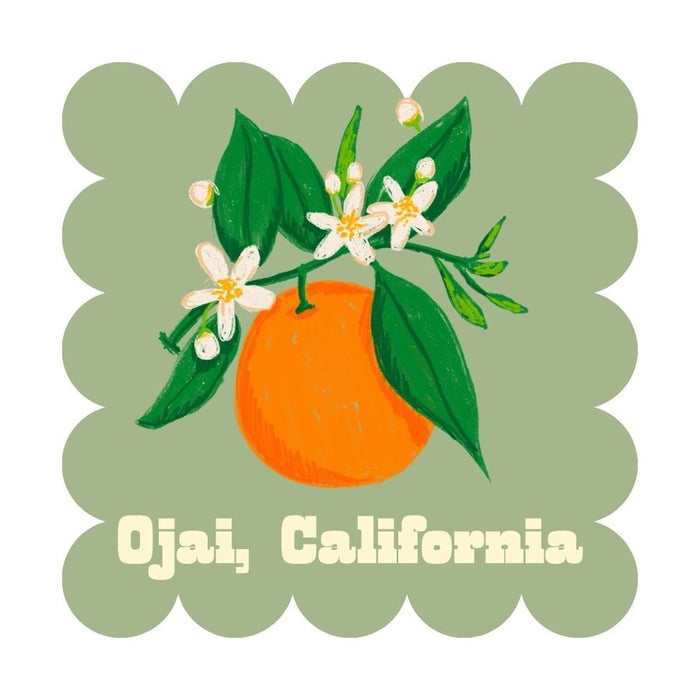 Ojai Square Magnet