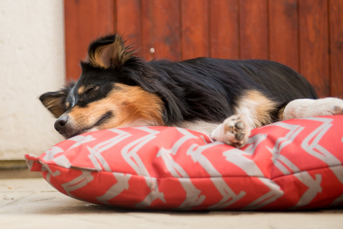 Gallery: Outdoor Bed PY1016BSF