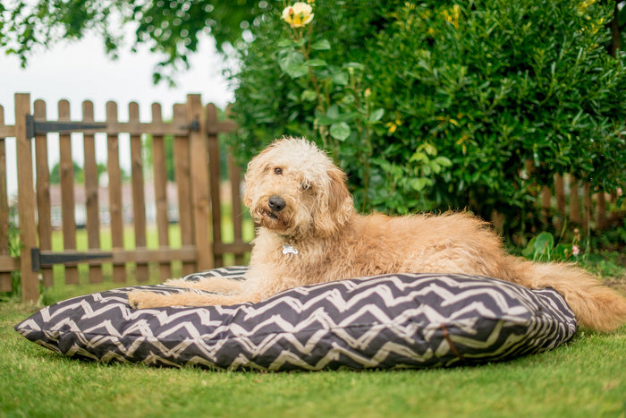 Gallery: Outdoor Bed PY1016CSF
