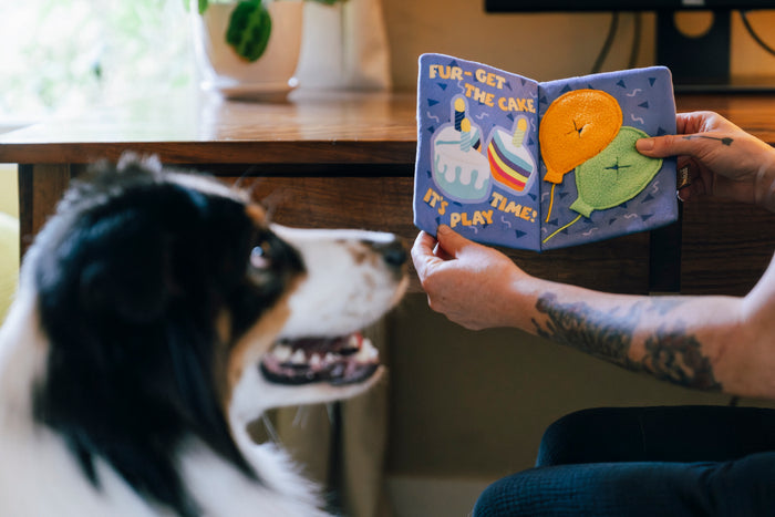 Dog mom opening Play’s Party Animal Barkday Wishes birthday card dog toy to show their dog in front of a desk indoors