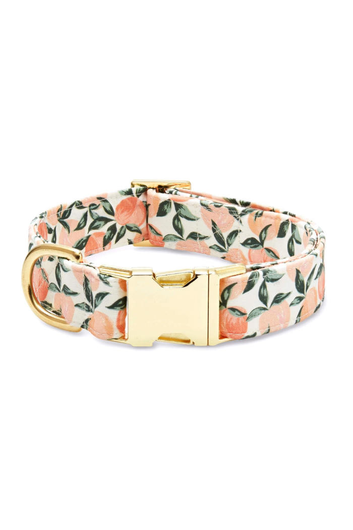 Peaches and Cream Dog Collar