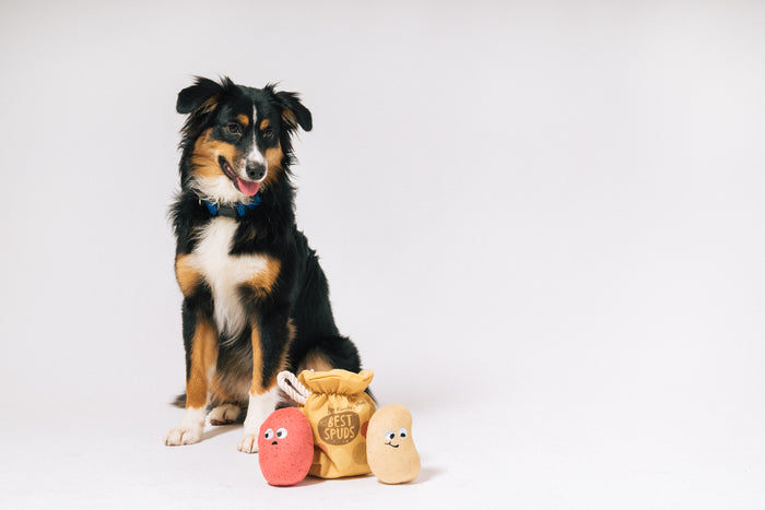 P.L.A.Y.'s Picked Fresh Potato Pals Toy: Dog sitting looking down at the three toys on a white background