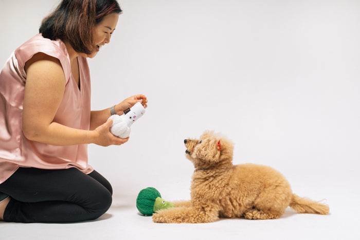 P.L.A.Y.'s Picked Fresh Veggie Munch Duo Toy Set: Dog Mom interacting with a dog by inserting a treat into pocket on bottom of cauliflower toy with dog staring up at her on a white background