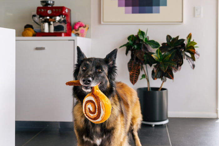 P.L.A.Y.'s Pup Cup Cafe Collection - Cinna-bone Toy hanging from big dog's mouth in kitchen