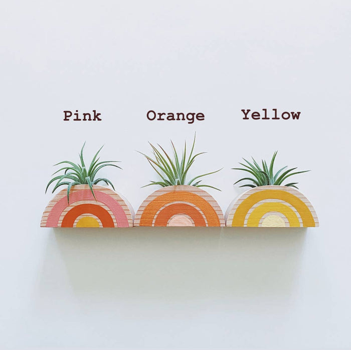 Rainbow Air Plant Holder (PLANT INCLUDED)