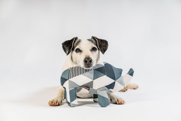 Dog with its head on top of the P.L.A.Y. Upcycled Zoo Pal Rhino plush toy on a white background