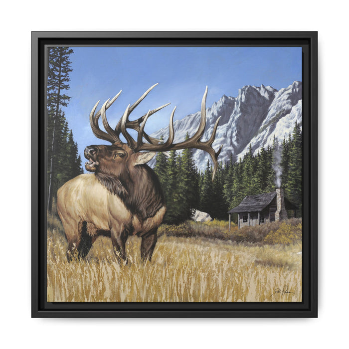 16″ x 16″ / Black / 1.25"