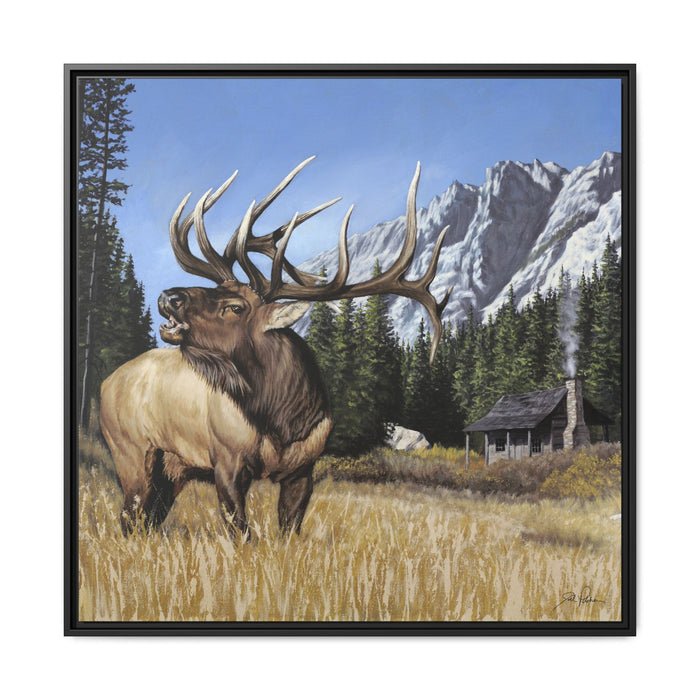 36″ x 36″ / Black / 1.25"