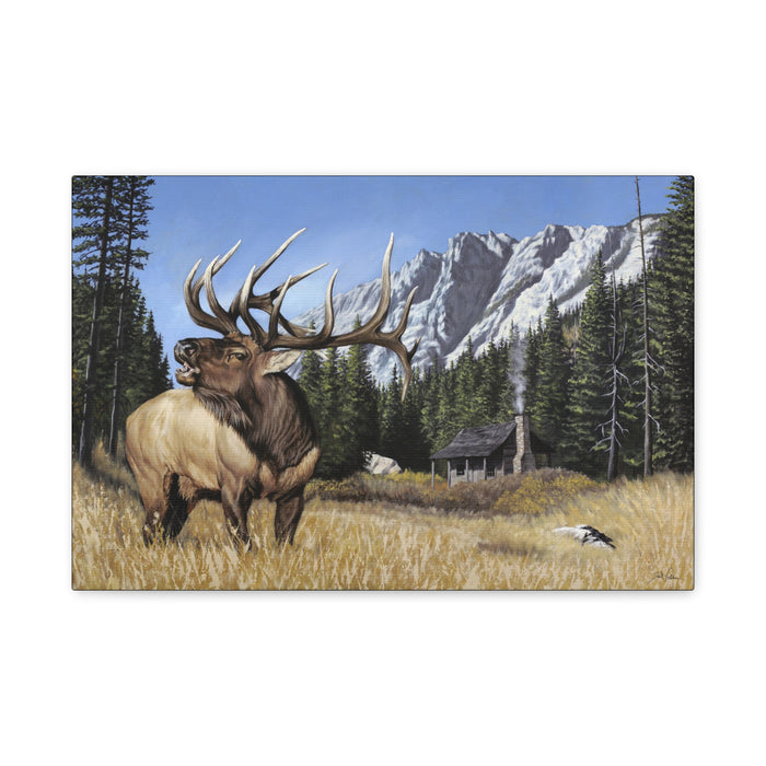 "Sanctuary" Stretched Canvas