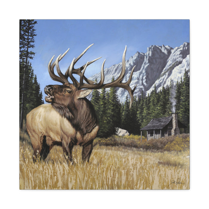 24″ x 24″ / 1.25"