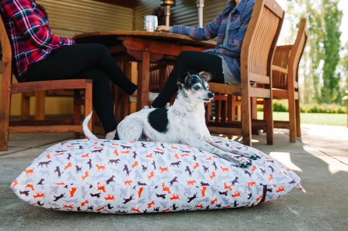 Gallery: Scout & About Outdoor Bed PY1017BSF