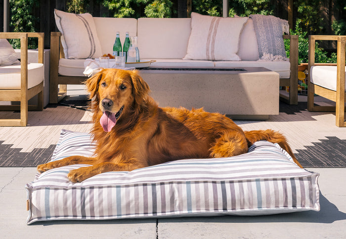 Dog laying on Seaside Boxy Bed in Sea Glass with stripes up and tongue out