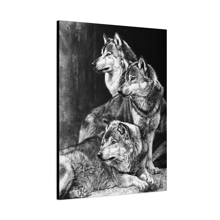 "Sentinels" Stretched Canvas