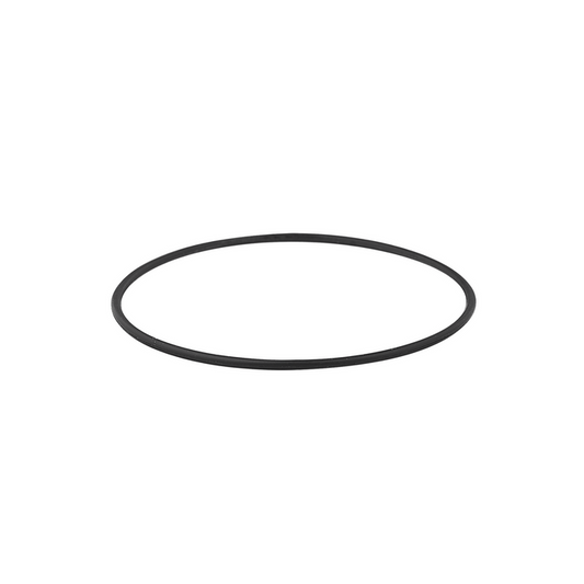 SKX007 Caseback Gasket