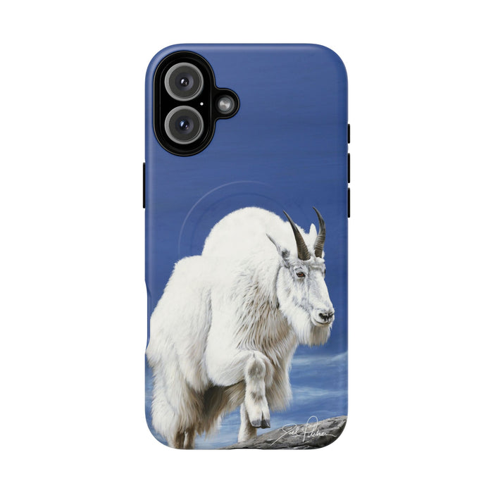 iPhone 16 Plus / Matte