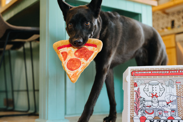 Snack Attack Collection by P.L.A.Y. Puppyroni Toy in beautiful black dog's mouth in kitchen with box nearby