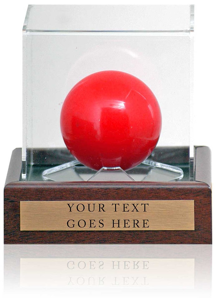 Snooker Display Case 10x10x10cm with Custom Plaque with words of your choice**