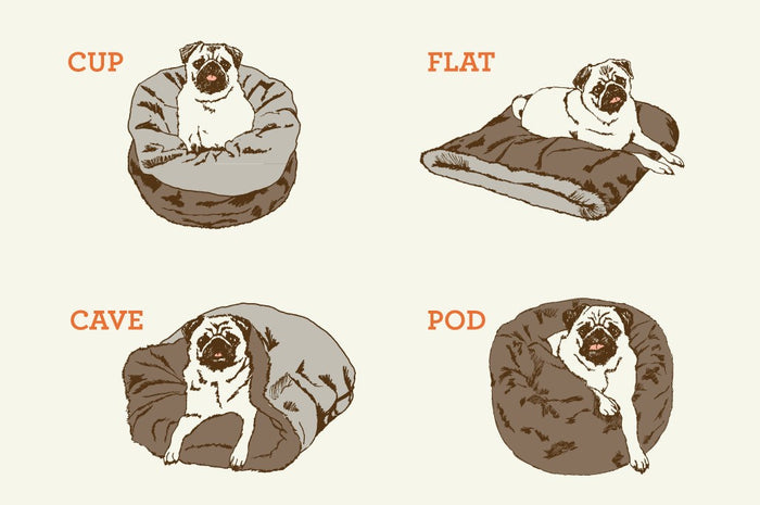 P.L.A.Y. Snuggle Bed - Info graphic to show the different ways to use it with your pet