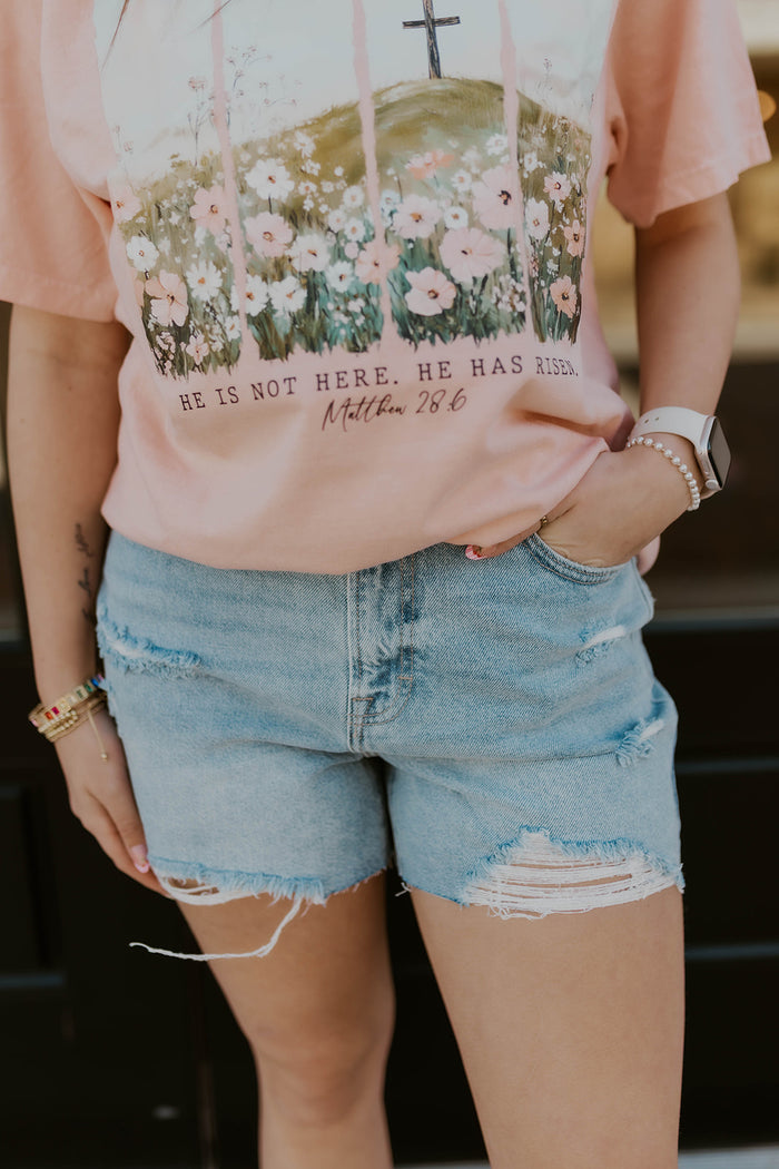 Sofie High Rise Distressed Shorts- Hidden