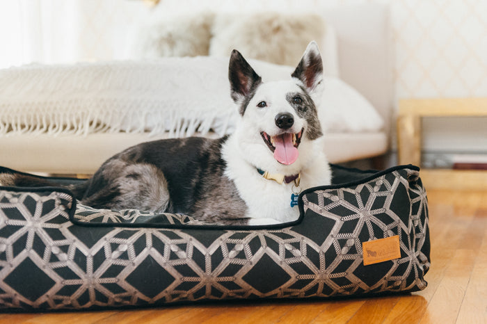 Gallery: Solstice Lounge Bed PY3014ASF