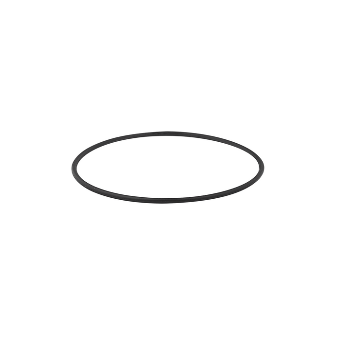 SRP Turtle Bezel Gasket