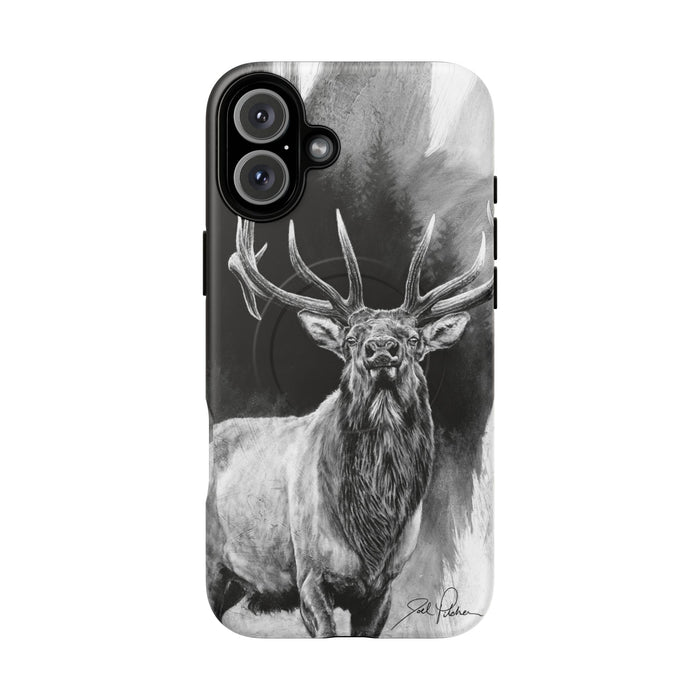 iPhone 16 Plus / Matte