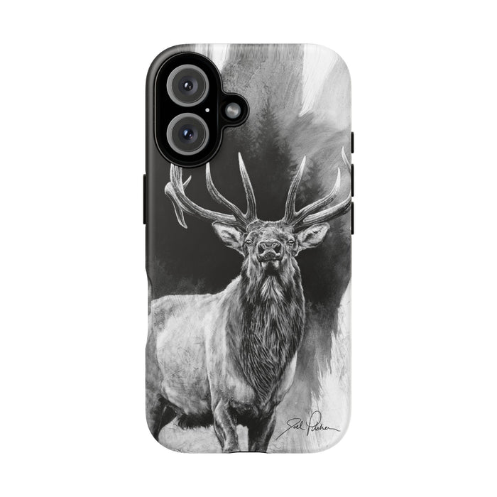 iPhone 16 / Matte
